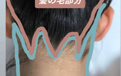 首の後ろの